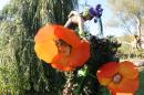 Fleurs des Rues 22 * 3504 x 2336 * (3.18MB)